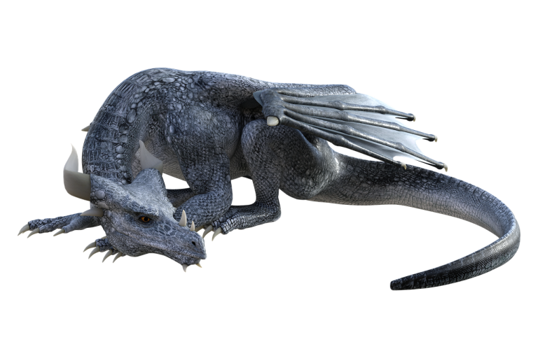 accessoires dragons